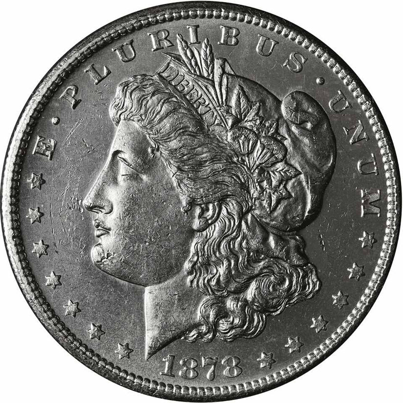 1878 Morgan Silver Dollar Cull image 1